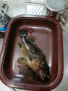 令和2年1月13日　今年の釣り始め