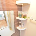 バスルームミラー・収納設備付近